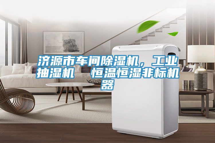 濟源市車間91看片软件大全，工業抽濕機  恒溫恒濕非標機器