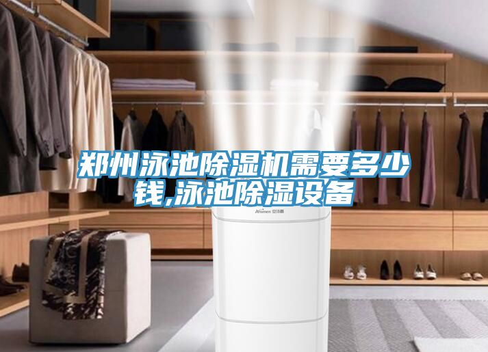 鄭州泳池91看片软件大全需要多少錢,泳池除濕設備