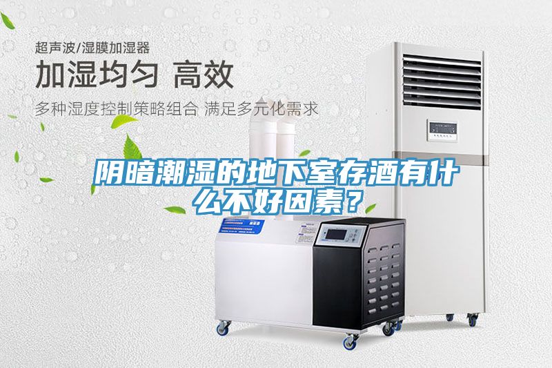 陰暗潮濕的地下室存酒有什麽不好因素？