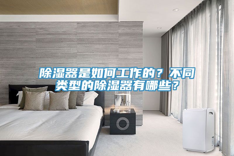 除濕器是如何工作的？不同類型的除濕器有哪些？