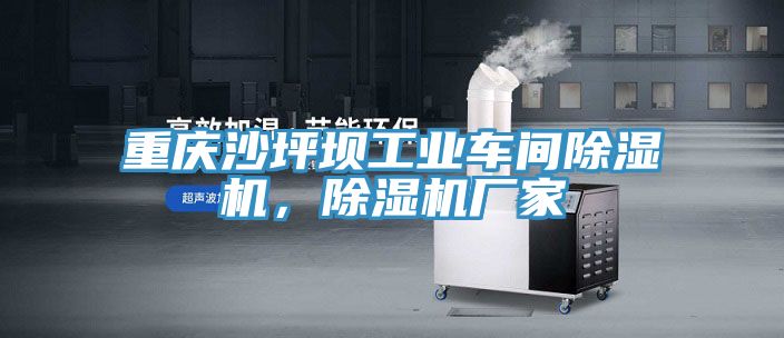重慶沙坪壩工業車間91看片软件大全，91看片软件大全廠家