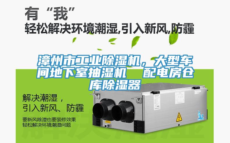 漳州市工業91看片软件大全，大型車間地下室抽濕機  配電房倉庫除濕器