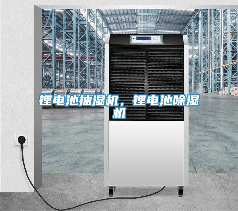 鋰電池抽濕機，鋰電池91看片软件大全