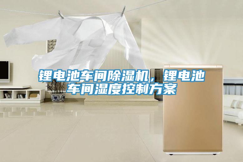 鋰電池車間91看片软件大全，鋰電池車間濕度控製方案