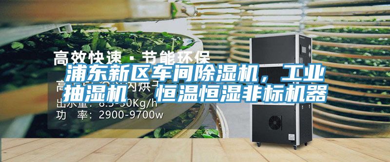 浦東新區車間91看片软件大全，工業抽濕機  恒溫恒濕非標機器