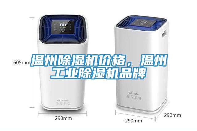 溫州91看片软件大全價格，溫州工業91看片软件大全品牌