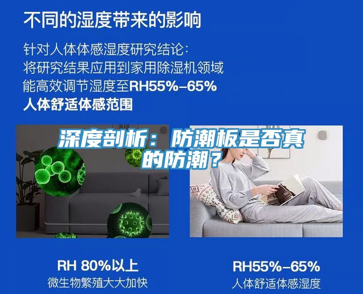 深度剖析：防潮板是否真的防潮？
