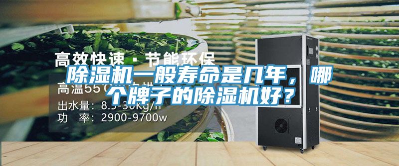91看片软件大全一般壽命是幾年，哪個牌子的91看片软件大全好？