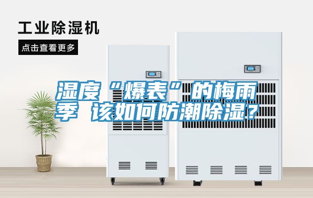 濕度“爆表”的梅雨季 該如何防潮除濕？