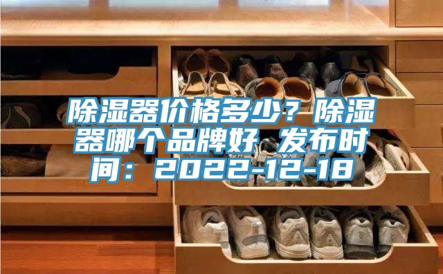 除濕器價格多少？除濕器哪個品牌好 發布時間：2022-12-18
