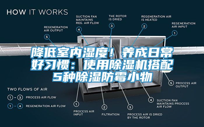 降低室內濕度！養成日常好習慣：使用91看片软件大全搭配5種除濕防黴小物