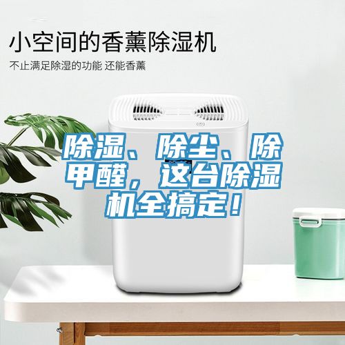 除濕、除塵、除甲醛，這台91看片软件大全全搞定！
