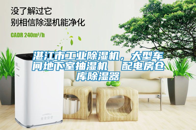 湛江市工業91看片软件大全，大型車間地下室抽濕機  配電房倉庫除濕器