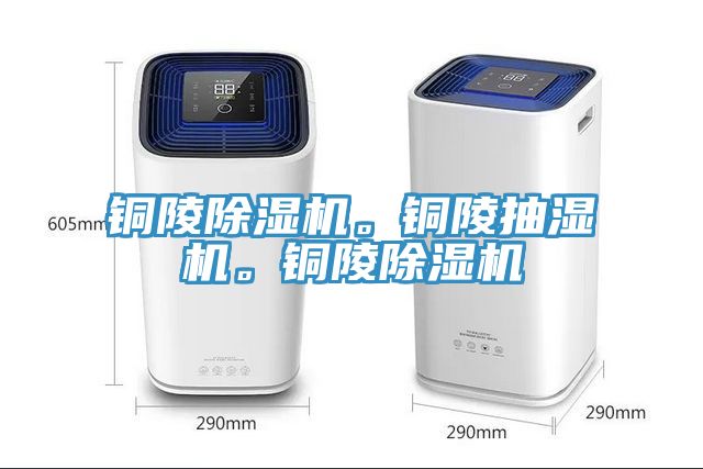 銅陵91看片软件大全。銅陵抽濕機。銅陵91看片软件大全