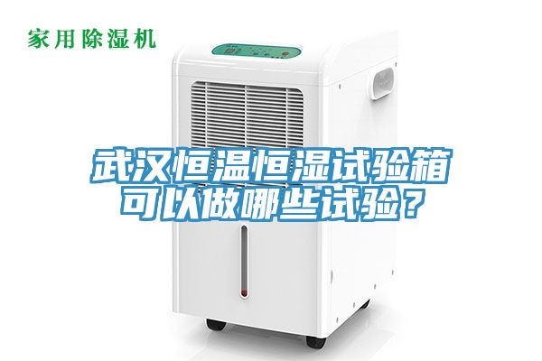 武漢恒溫恒濕試驗箱可以做哪些試驗？