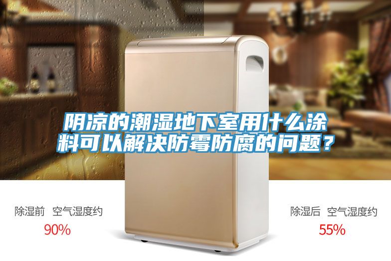 陰涼的潮濕地下室用什麽塗料可以解決防黴防腐的問題？