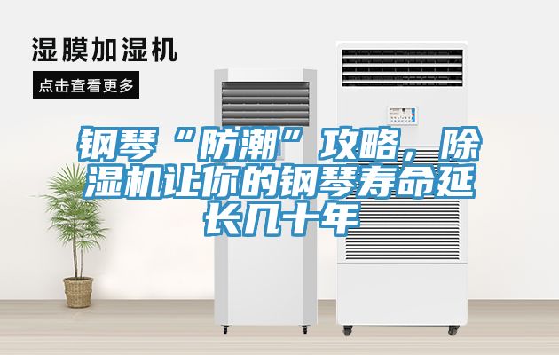 鋼琴“防潮”攻略，91看片软件大全讓你的鋼琴壽命延長幾十年