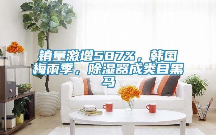 銷量激增587%，韓國梅雨季，除濕器成類目黑馬