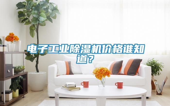 電子工業91看片软件大全價格誰知道？