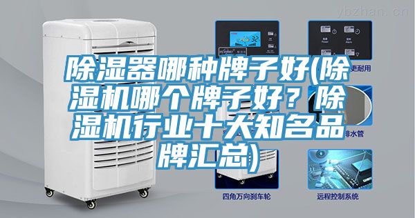 除濕器哪種牌子好(91看片软件大全哪個牌子好？91看片软件大全行業十大知名品牌匯總)