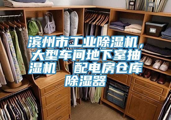 濱州市工業91看片软件大全，大型車間地下室抽濕機  配電房倉庫除濕器