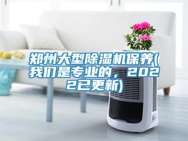 鄭州大型91看片软件大全保養(91AV手机看片是專業的，2022已更新)