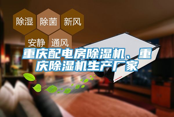 重慶配電房91看片软件大全、重慶91看片软件大全生產廠家
