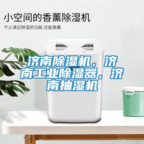 濟南91看片软件大全，濟南工業除濕器，濟南抽濕機