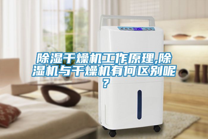 除濕幹燥機工作原理,91看片软件大全與幹燥機有何區別呢？