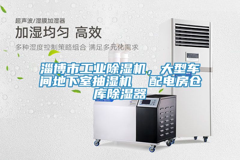 淄博市工業91看片软件大全，大型車間地下室抽濕機  配電房倉庫除濕器