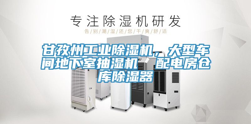甘孜州工業91看片软件大全，大型車間地下室抽濕機  配電房倉庫除濕器