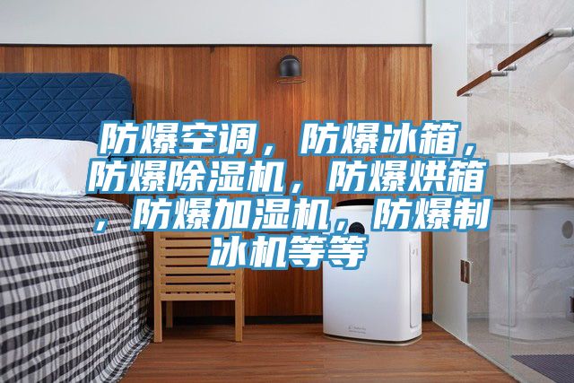 防爆空調，防爆冰箱，防爆91看片软件大全，防爆烘箱，防爆加濕機，防爆製冰機等等