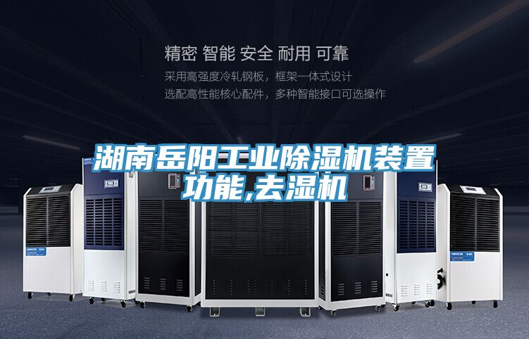 湖南嶽陽工業91看片软件大全裝置功能,去濕機