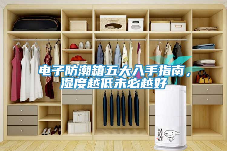 電子防潮箱五大入手指南，濕度越低未必越好