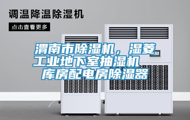 渭南市91看片软件大全，濕菱工業地下室抽濕機  庫房配電房除濕器