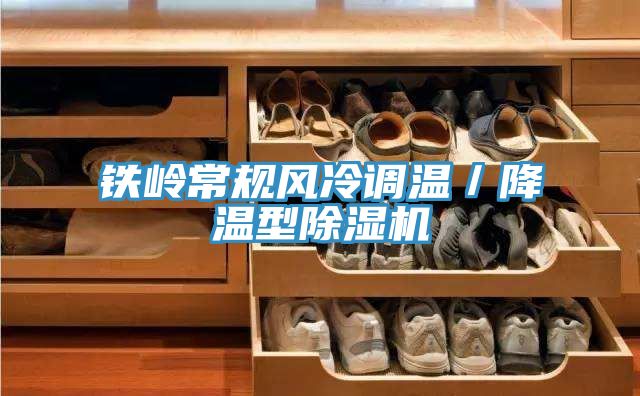 鐵嶺常規風冷調溫／降溫型91看片软件大全
