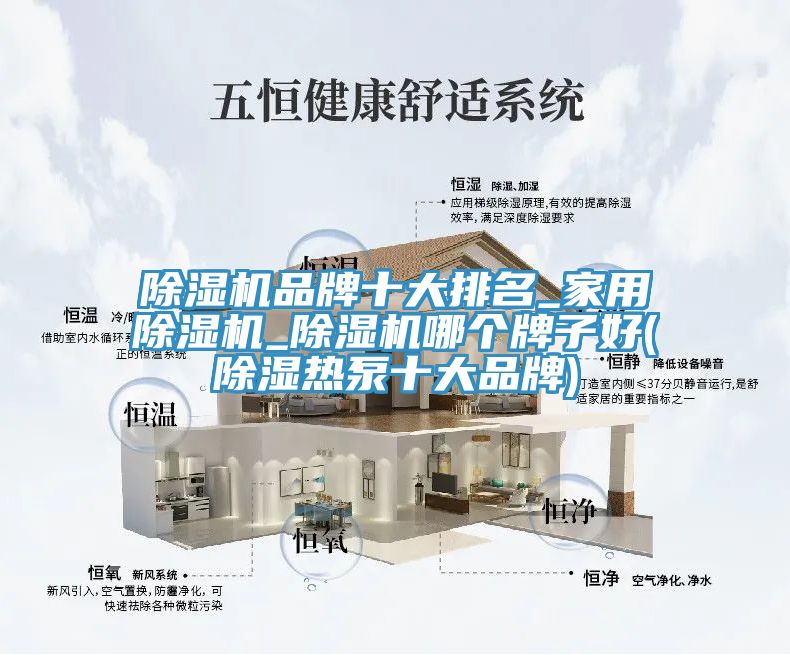 91看片软件大全品牌十大排名_家用91看片软件大全_91看片软件大全哪個牌子好(除濕熱泵十大品牌)