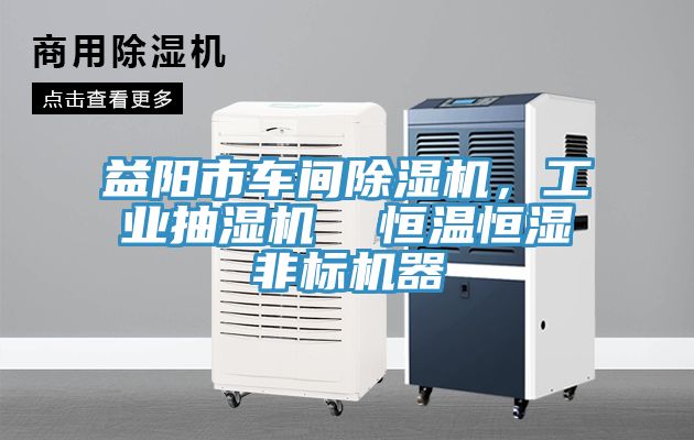 益陽市車間91看片软件大全，工業抽濕機  恒溫恒濕非標機器
