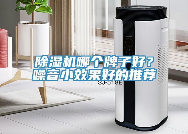 91看片软件大全哪個牌子好？噪音小效果好的推薦