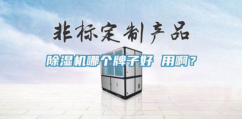 91看片软件大全哪個牌子好 用啊？