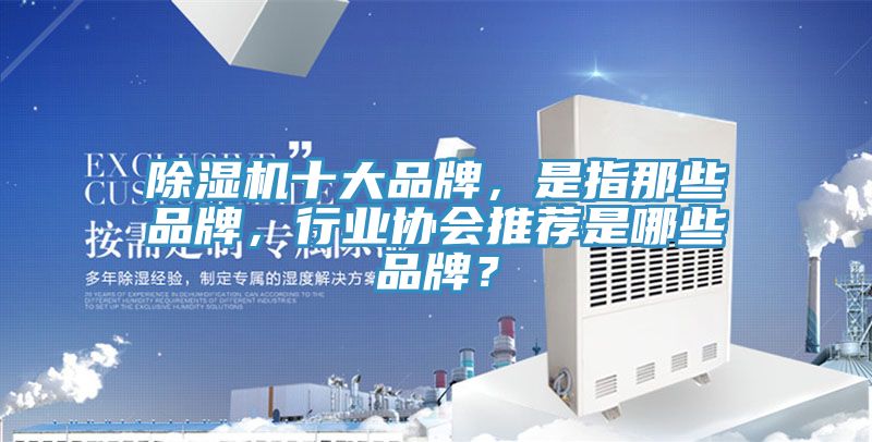 91看片软件大全十大品牌，是指那些品牌，行業協會推薦是哪些品牌？