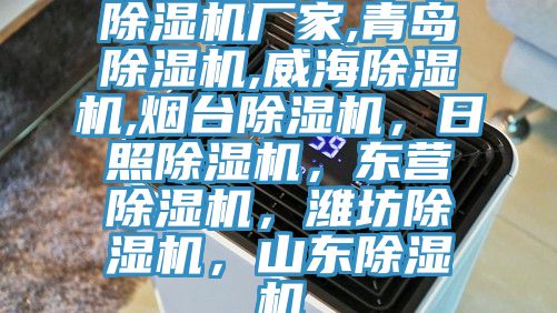 91看片软件大全廠家,青島91看片软件大全,威海91看片软件大全,煙台91看片软件大全，日照91看片软件大全，東營91看片软件大全，濰坊91看片软件大全，山東91看片软件大全