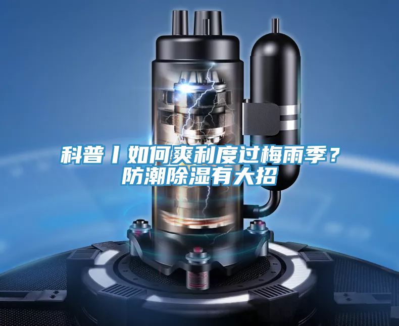 科普丨如何爽利度過梅雨季？防潮除濕有大招