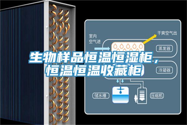 生物樣品恒溫恒濕櫃，恒溫恒溫收藏櫃