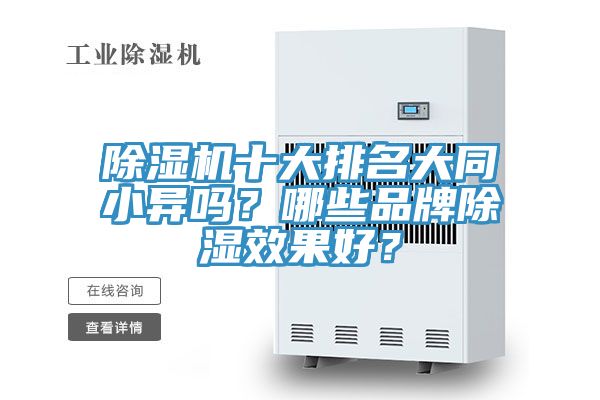 91看片软件大全十大排名大同小異嗎？哪些品牌除濕效果好？