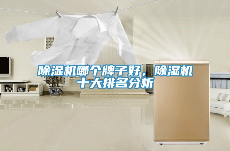 91看片软件大全哪個牌子好，91看片软件大全十大排名分析
