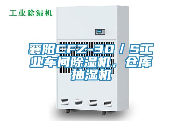 襄陽CFZ-30／S工業車間91看片软件大全，倉庫抽濕機