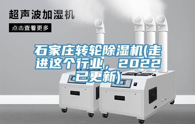 石家莊轉輪91看片软件大全(走進這個行業，2022已更新)