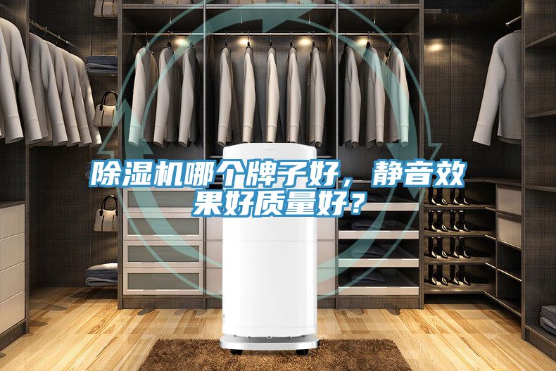 91看片软件大全哪個牌子好，靜音效果好質量好？