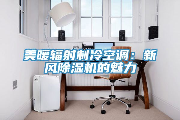 美暖輻射製冷空調：新風91看片软件大全的魅力